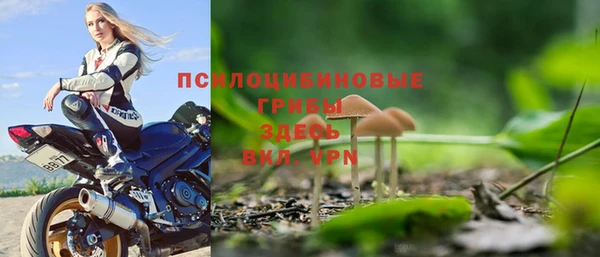 хмурый Инсар