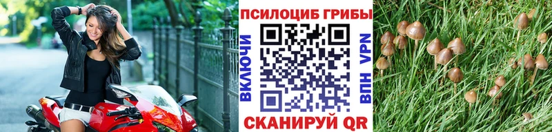 Купить где  Краснокаменск  Галлюциногенные грибы GOLDEN TEACHER 
